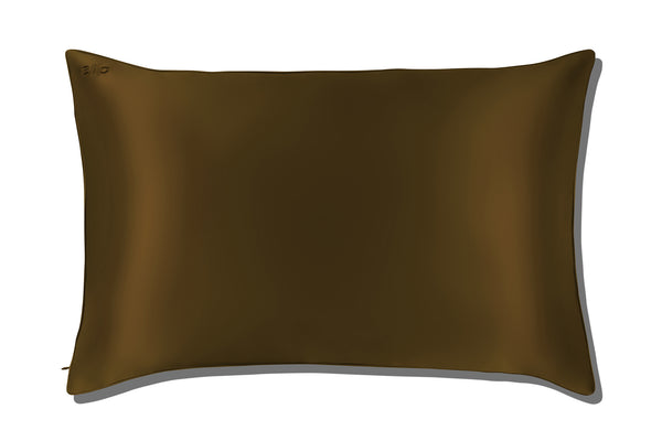 Brown silk pillow on a white background