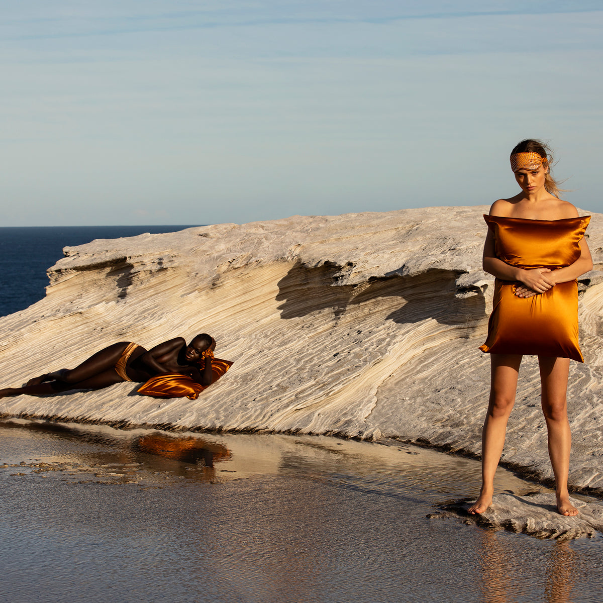 Bronze King Zippered Pillowcase Slip